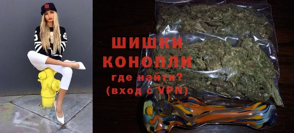 ешки Аркадак